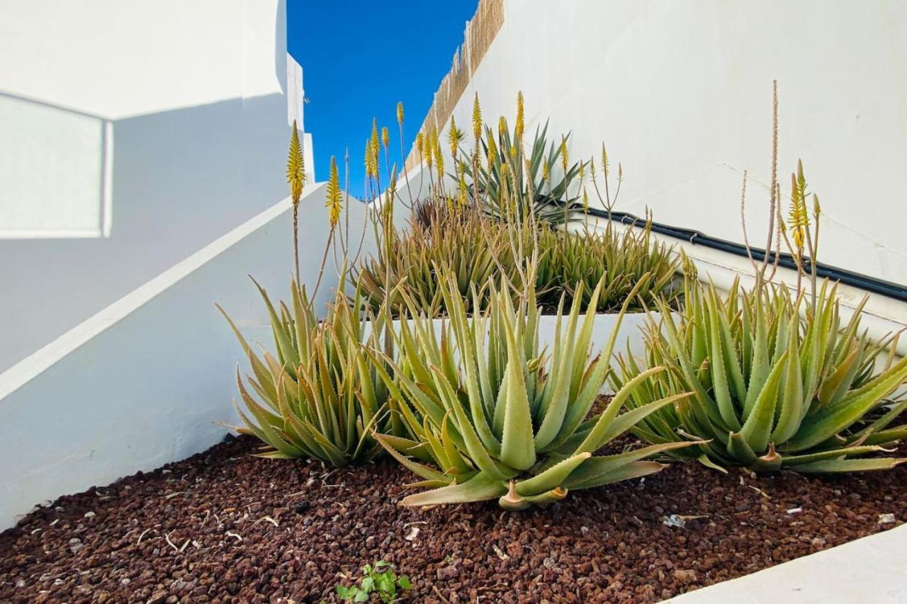 Tenerife.365 Atalaya Court II Sunset Ocean View أذيخي المظهر الخارجي الصورة