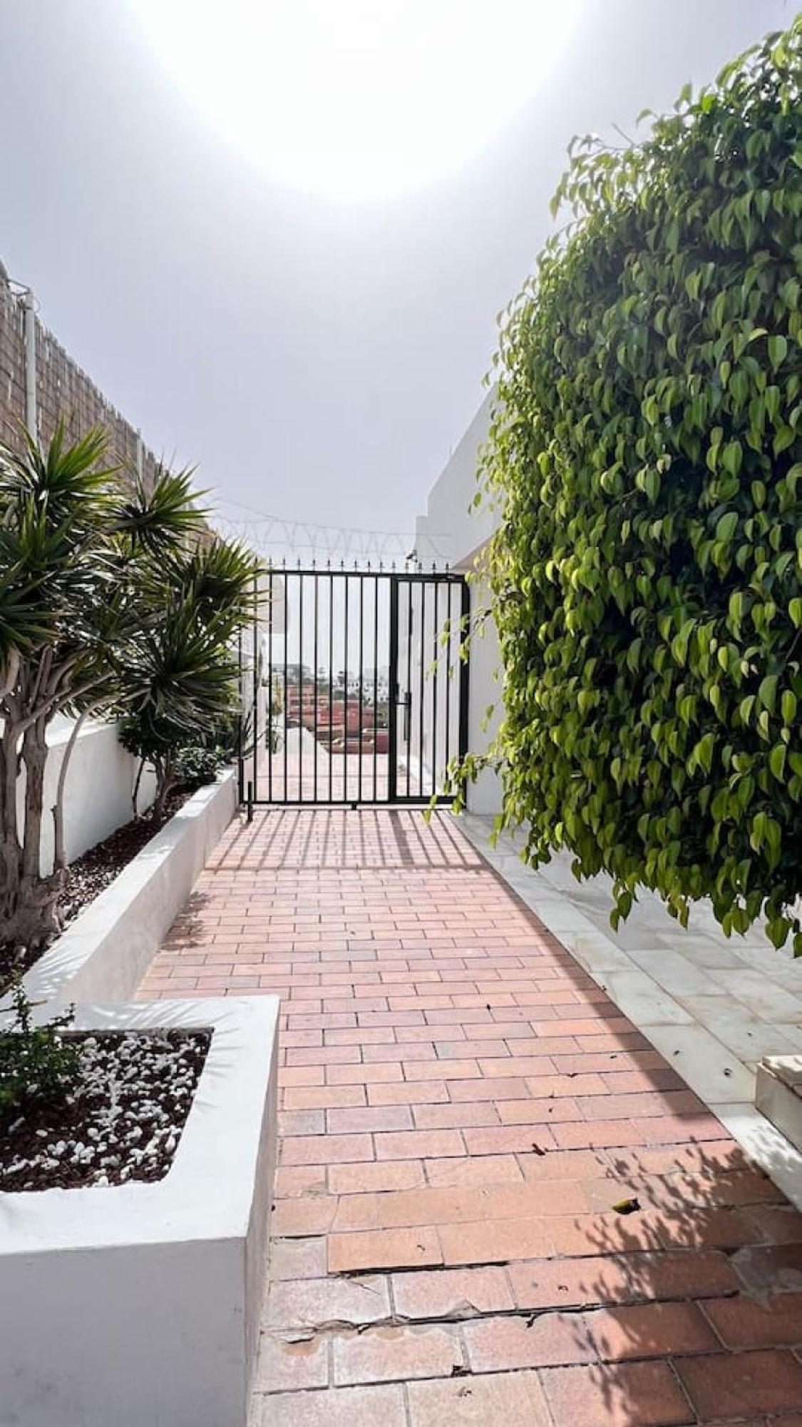 Tenerife.365 Atalaya Court II Sunset Ocean View أذيخي المظهر الخارجي الصورة
